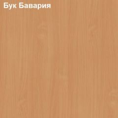 Антресоль для шкафа Логика Л-14.1 в Заводоуковске - zavodoukovsk.mebel24.online | фото 2