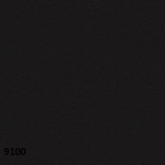 Диван двухместный Актив экокожа Euroline (9100 черный) в Заводоуковске - zavodoukovsk.mebel24.online | фото 4