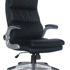Кресло офисное BRABIX "Fregat EX-510" (рециклированная кожа, черное) 530863 в Заводоуковске - zavodoukovsk.mebel24.online | фото