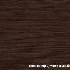 Кухонный гарнитур Полина стандарт 1600 в Заводоуковске - zavodoukovsk.mebel24.online | фото 12