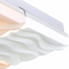 Накладной светильник Escada Frost 10204/4LED в Заводоуковске - zavodoukovsk.mebel24.online | фото 2