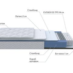 PROxSON Матрас Active Duo S/F (Ткань Трикотаж Эко) 180x200 в Заводоуковске - zavodoukovsk.mebel24.online | фото 7