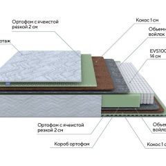 PROxSON Матрас Green M (Tricotage Dream) 120x190 в Заводоуковске - zavodoukovsk.mebel24.online | фото 7