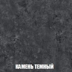 Шкаф 2-х створчатый МСП-1 (Дуб Золотой/Камень темный) в Заводоуковске - zavodoukovsk.mebel24.online | фото 5