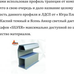 Шкаф-купе 1500 серии SILVER S1+S1+B2+PL2 (2 ящика+1 штанга+1 полка) профиль «Серебро» в Заводоуковске - zavodoukovsk.mebel24.online | фото 4