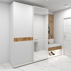 Шкаф-купе 1600 серии SOFT D6+D4+B2+PL2 (2 ящика+1штанга+1 полка) профиль «Капучино» в Заводоуковске - zavodoukovsk.mebel24.online | фото 5