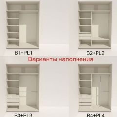 Шкаф-купе 1600 серии SOFT D6+D4+B2+PL2 (2 ящика+1штанга+1 полка) профиль «Капучино» в Заводоуковске - zavodoukovsk.mebel24.online | фото 7