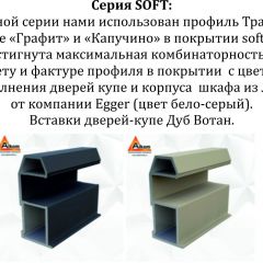 Шкаф-купе 1600 серии SOFT D8+D2+B2+PL4 (2 ящика+F обр.штанга) профиль «Графит» в Заводоуковске - zavodoukovsk.mebel24.online | фото 12