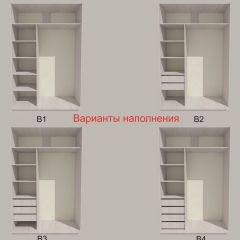 Шкаф-купе 1700 серии SILVER S1+S1+B2+PL2 (2 ящика+1 штанга+1 полка) профиль «Серебро» в Заводоуковске - zavodoukovsk.mebel24.online | фото 5