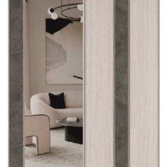 Шкаф-купе 1700 серии SILVER S1+S1+B2+PL2 (2 ящика+1 штанга+1 полка) профиль «Серебро» в Заводоуковске - zavodoukovsk.mebel24.online | фото 8