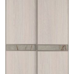 Шкаф-купе 1700 серии SILVER S1+S1+B2+PL2 (2 ящика+1 штанга+1 полка) профиль «Серебро» в Заводоуковске - zavodoukovsk.mebel24.online | фото 10