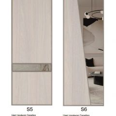 Шкаф-купе 1700 серии SILVER S1+S1+B2+PL2 (2 ящика+1 штанга+1 полка) профиль «Серебро» в Заводоуковске - zavodoukovsk.mebel24.online | фото 11