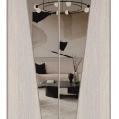 Шкаф-купе 1700 серии SILVER S1+S1+B2+PL2 (2 ящика+1 штанга+1 полка) профиль «Серебро» в Заводоуковске - zavodoukovsk.mebel24.online | фото 12