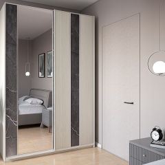 Шкаф-купе 1700 серии SILVER S3+S4+B2+PL4 (2 ящика+F обр.штанга) профиль «Серебро» в Заводоуковске - zavodoukovsk.mebel24.online | фото