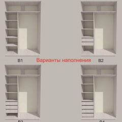 Шкаф-купе 1700 серии SILVER S3+S4+B2+PL4 (2 ящика+F обр.штанга) профиль «Серебро» в Заводоуковске - zavodoukovsk.mebel24.online | фото 5