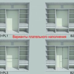 Шкаф-купе 1950 серии SILVER S3+S1+S3Z B22+PL2 (по 2 ящика лев/прав+1штанга+1 полка) профиль «Серебро» в Заводоуковске - zavodoukovsk.mebel24.online | фото 6