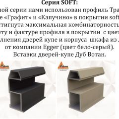 Шкаф-купе 2100 серии SOFT D5+D5+D5+B22+PL4 (по 2 ящика лев/прав+2штанги) профиль «Графит» в Заводоуковске - zavodoukovsk.mebel24.online | фото 11
