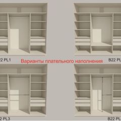 Шкаф-купе 2100 серии SOFT D5+D5+D5+B22+PL4 (по 2 ящика лев/прав+2штанги) профиль «Графит» в Заводоуковске - zavodoukovsk.mebel24.online | фото 4