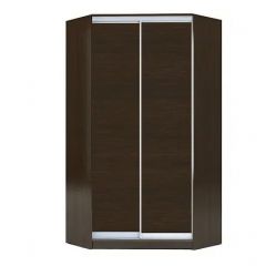 Шкаф-купе ХИТ-У-24-4-11 в Заводоуковске - zavodoukovsk.mebel24.online | фото 1