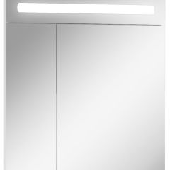 Шкаф-зеркало Аврора 65 с подсветкой LED Домино (DV8006HZ) в Заводоуковске - zavodoukovsk.mebel24.online | фото 1