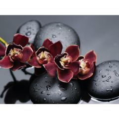 Стол обеденный Бостон Ст101.1 орхидеи в Заводоуковске - zavodoukovsk.mebel24.online | фото 3