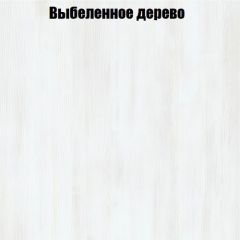 Вешалка V2 в Заводоуковске - zavodoukovsk.mebel24.online | фото 4