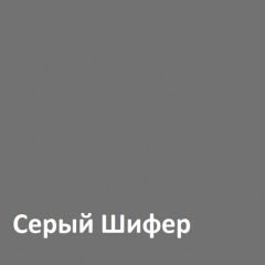 Юнона Шкаф торцевой 13.221 в Заводоуковске - zavodoukovsk.mebel24.online | фото 2