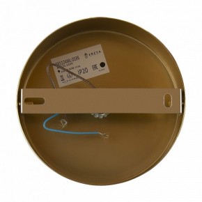 Бра Freya Zelda FR5124WL-01BS в Заводоуковске - zavodoukovsk.mebel24.online | фото 6