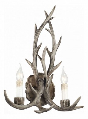 Бра ST-Luce Corna SL154.701.02 в Заводоуковске - zavodoukovsk.mebel24.online | фото 1