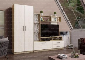 ДАРЬЯ Гостиная (Крафт серый/Крафт белый) в Заводоуковске - zavodoukovsk.mebel24.online | фото
