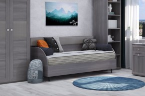 Диван-кровать 900 Парма Нео в Заводоуковске - zavodoukovsk.mebel24.online | фото 4
