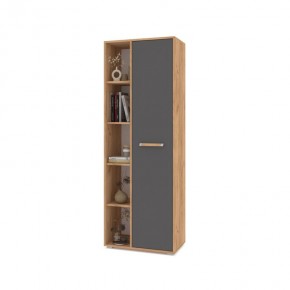 ФЛОРИДА Ф12 Шкаф-стеллаж (дуб золотой/графит) в Заводоуковске - zavodoukovsk.mebel24.online | фото
