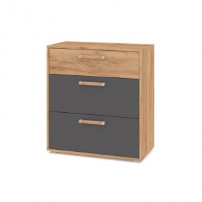 ФЛОРИДА Гостиная (модульная) дуб золотой/графит в Заводоуковске - zavodoukovsk.mebel24.online | фото 8