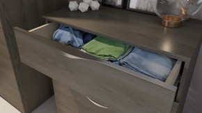 Комод Либерти ТД-297.04.02 в Заводоуковске - zavodoukovsk.mebel24.online | фото 4