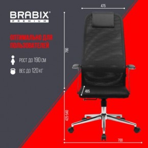 Кресло BRABIX PREMIUM "Ultimate EX-801" хром, плотная двойная сетка Х2, черное, 532917 в Заводоуковске - zavodoukovsk.mebel24.online | фото 7