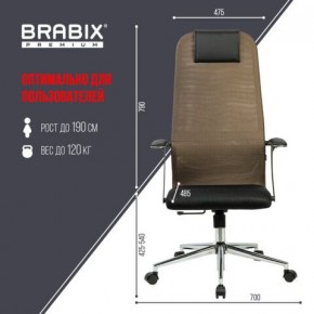 Кресло BRABIX PREMIUM "Ultimate EX-801" хром, плотная двойная сетка Х2, черное/коричневое, 532920 в Заводоуковске - zavodoukovsk.mebel24.online | фото 6