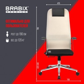 Кресло офисное BRABIX PREMIUM "Ultimate EX-801" хром, плотная двойная сетка Х2, черное/бежевое, 532919 в Заводоуковске - zavodoukovsk.mebel24.online | фото 6