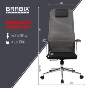 Кресло офисное BRABIX PREMIUM "Ultimate EX-801" хром, плотная двойная сетка Х2, черное/серое, 532918 в Заводоуковске - zavodoukovsk.mebel24.online | фото 5