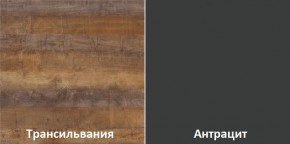 Кухонный гарнитур угловой Трансильвания 2600х1600 мм (Стол. 38 мм) в Заводоуковске - zavodoukovsk.mebel24.online | фото 3