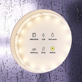 Лента светодиодная Maytoni Led strip 10102 в Заводоуковске - zavodoukovsk.mebel24.online | фото 2