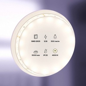 Лента светодиодная Maytoni Led strip 10103 в Заводоуковске - zavodoukovsk.mebel24.online | фото 2