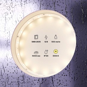 Лента светодиодная Maytoni Led strip 10105 в Заводоуковске - zavodoukovsk.mebel24.online | фото 2