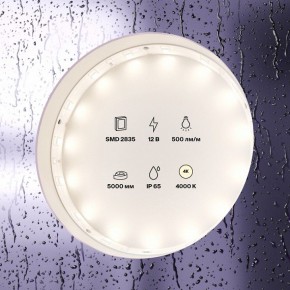 Лента светодиодная Maytoni Led strip 10106 в Заводоуковске - zavodoukovsk.mebel24.online | фото 2