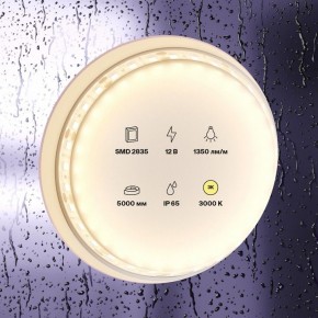 Лента светодиодная Maytoni Led strip 10117 в Заводоуковске - zavodoukovsk.mebel24.online | фото 2