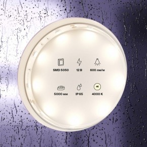 Лента светодиодная Maytoni Led strip 10124 в Заводоуковске - zavodoukovsk.mebel24.online | фото 2
