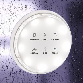 Лента светодиодная Maytoni Led strip 10125 в Заводоуковске - zavodoukovsk.mebel24.online | фото 2