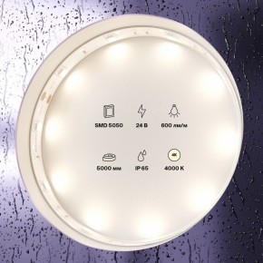 Лента светодиодная Maytoni Led strip 10164 в Заводоуковске - zavodoukovsk.mebel24.online | фото 2