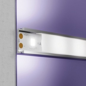 Лента светодиодная Maytoni Led strip 20003 в Заводоуковске - zavodoukovsk.mebel24.online | фото 2