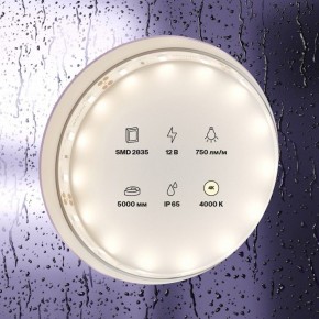 Лента светодиодная Maytoni Led strip 20005 в Заводоуковске - zavodoukovsk.mebel24.online | фото 2