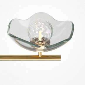 Люстра на штанге Maytoni Miracle MOD207PL-05BS в Заводоуковске - zavodoukovsk.mebel24.online | фото 5